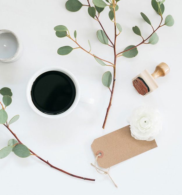 January Favourites
