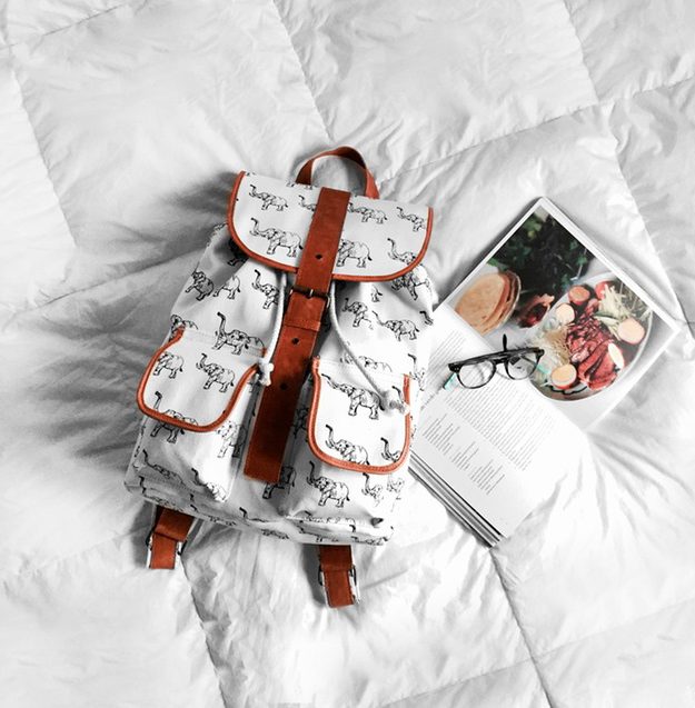 What I Would Buy for the Blog If I Had the Money