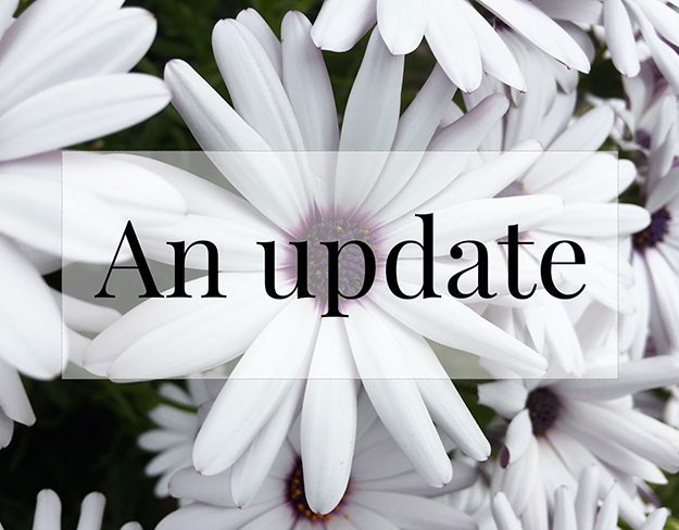 Blog Update and Pre-Birthday Dinner
