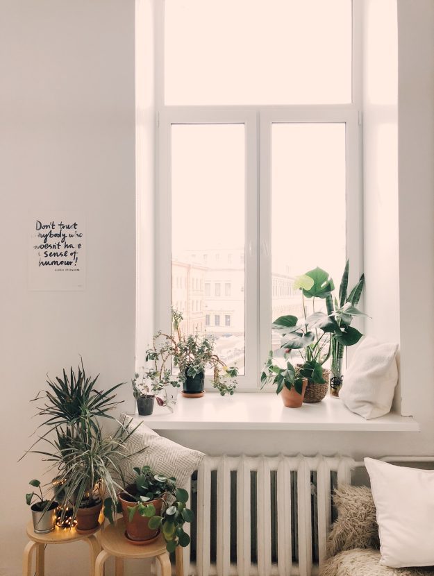 My Struggle as a Blogger #2