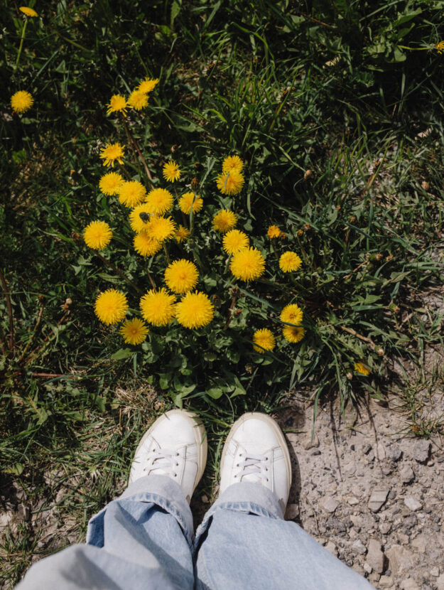 Sunday Reset 18 – 04.24